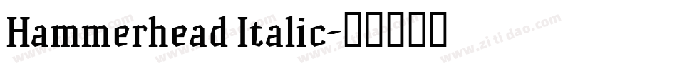Hammerhead Italic字体转换